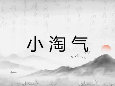 小淘气