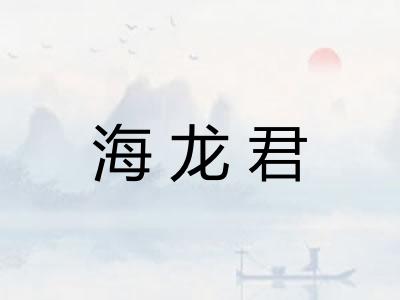 海龙君