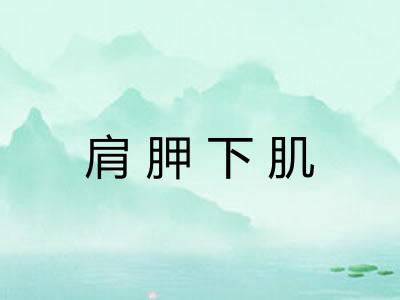 肩胛下肌