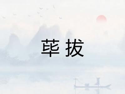 荜拔