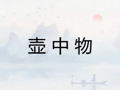 壶中物