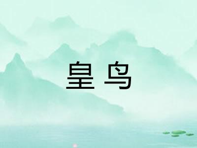 皇鸟