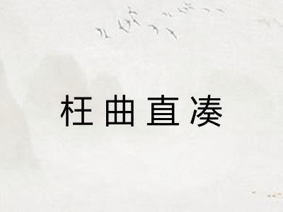 枉曲直凑