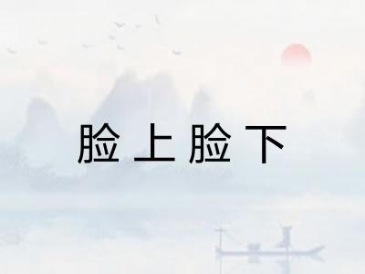 脸上脸下