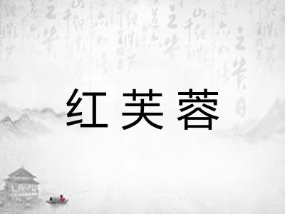 红芙蓉