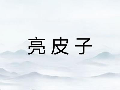 亮皮子