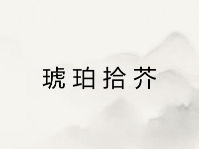 琥珀拾芥