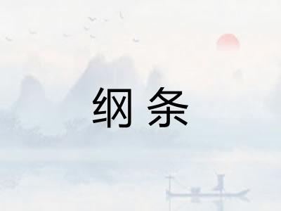 纲条