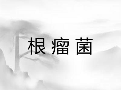 根瘤菌