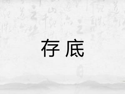 存底