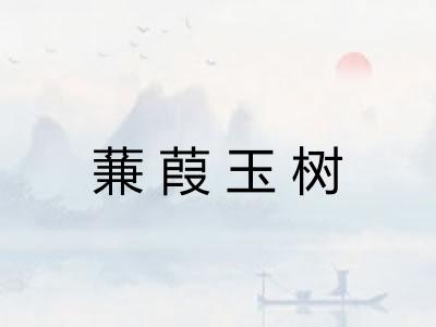 蒹葭玉树