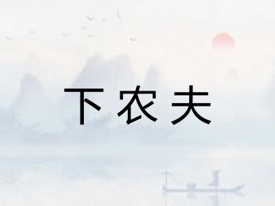 下农夫