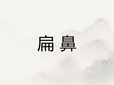 扁鼻