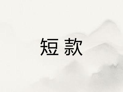 短款