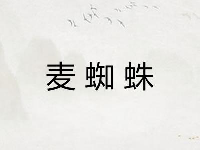 麦蜘蛛