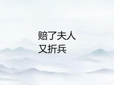 赔了夫人又折兵