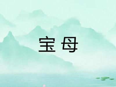 宝母