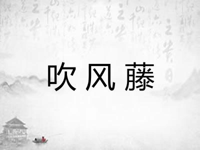 吹风藤