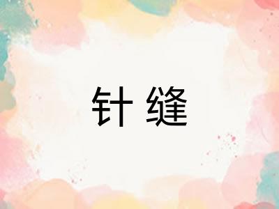 针缝