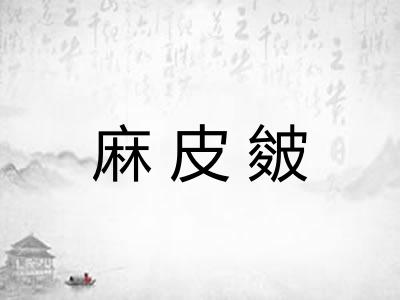 麻皮皴