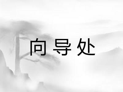 向导处
