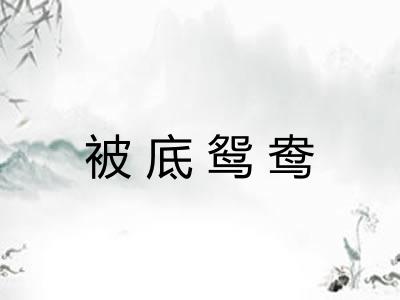 被底鸳鸯