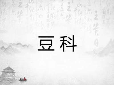 豆科