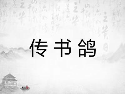 传书鸽