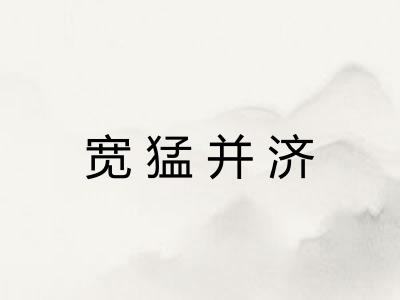 宽猛并济