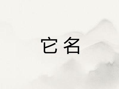 它名