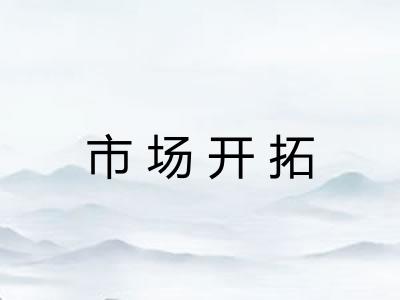 市场开拓