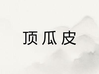 顶瓜皮