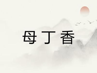 母丁香