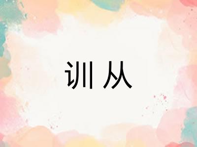 训从