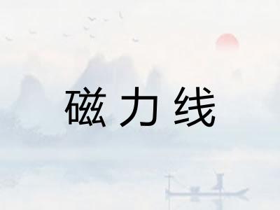 磁力线