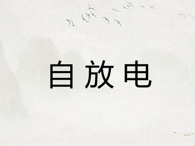 自放电