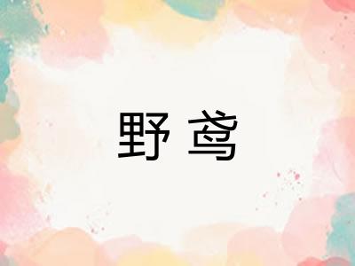 野鸢