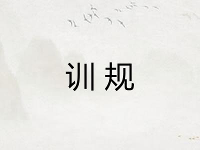 训规
