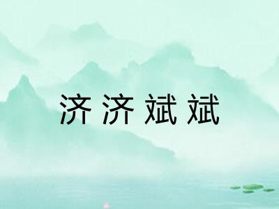 济济斌斌