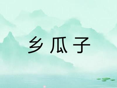 乡瓜子
