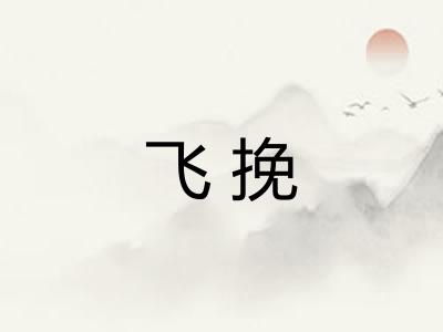 飞挽