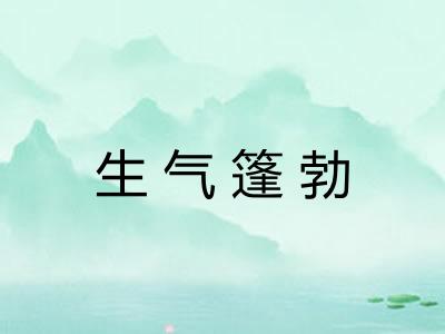 生气篷勃