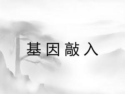 基因敲入