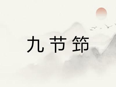 九节笻