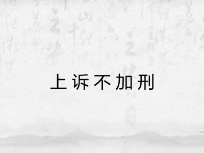 上诉不加刑