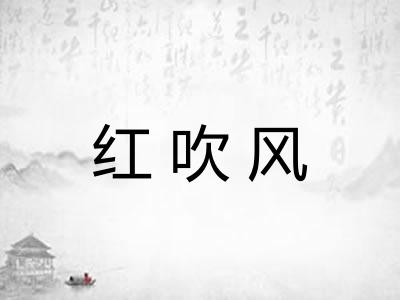 红吹风