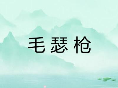 毛瑟枪