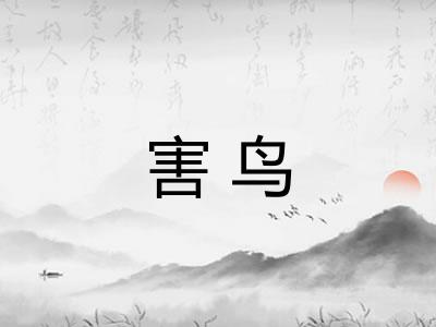 害鸟
