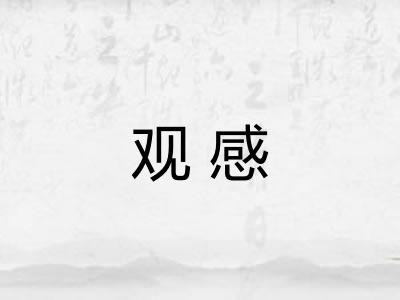 观感