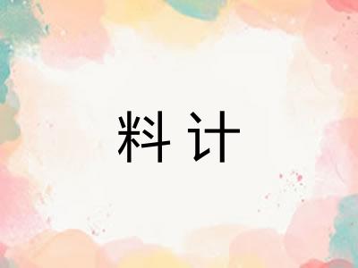 料计